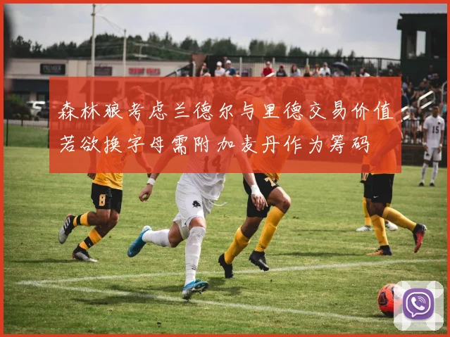 森林狼考虑兰德尔与里德交易价值若欲换字母需附加麦丹作为筹码