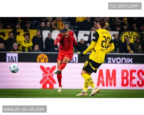 德甲新赛季观众热情高涨多特与拜仁上座人数引领潮流